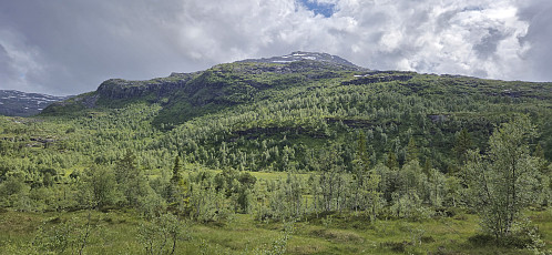 Looking back up at Karaldenuten from Løkjane