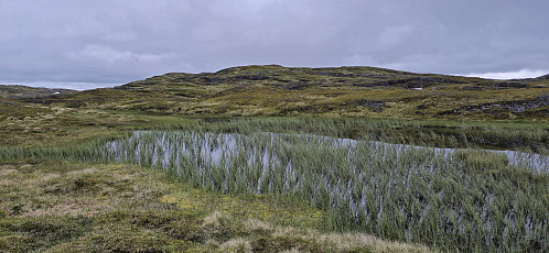 Approaching the summit of Hamlagrøhornet