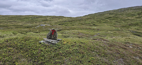 Back on the marked trail/route