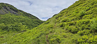 Start of the trail