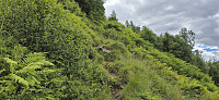 The trail from Kvassdalen