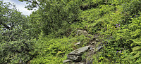 The trail from Kvassdalen