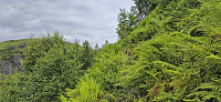 The trail from Kvassdalen