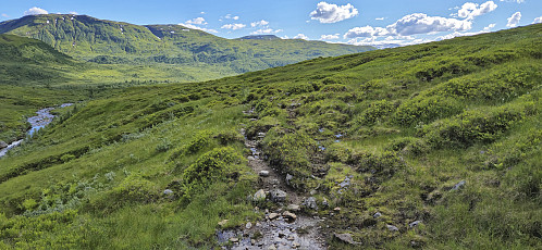 The rather wet and muddy trail from Reppane to Revhaugen