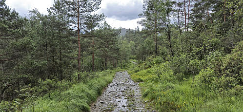 The tractor road to Ulvvatnet