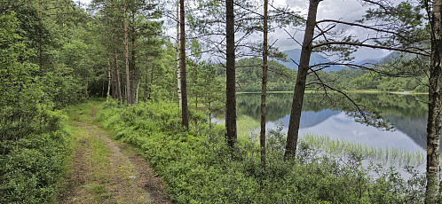 The tractor road on the west side of Ulvvatnet