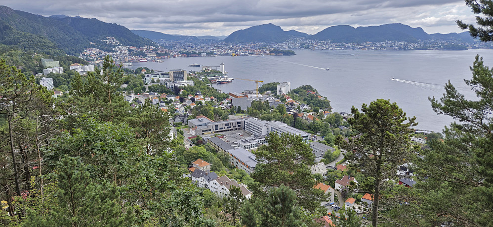 Bergen city center from the trig marker at Furukammen