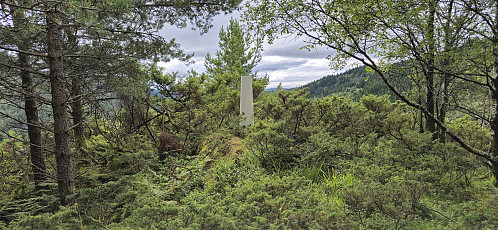 The trig marker at Høghaugen (referred to as Frotveit søyle)