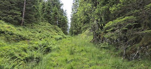The shortcut from Frotveit to the gravel road to Totland
