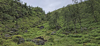 Off-trail from Vetlejordsstølen