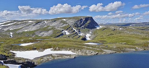 Skjelinganosi