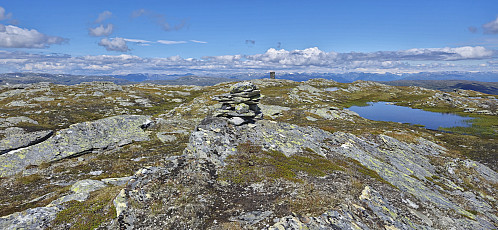 Skjelinganosi