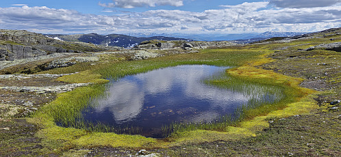 Small pond north of Skabotsvarden