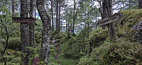 Marked trail to Varden på Åsen