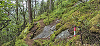 The trail to Berget/Smørstakken