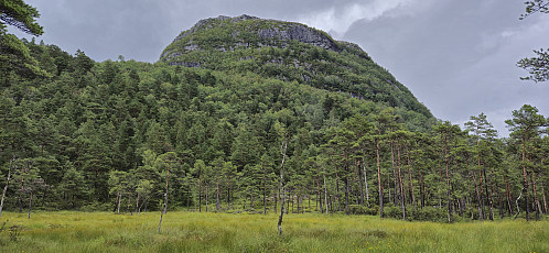 Looking up at Storafjellet from east of Berget