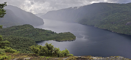 Tettaneset from Berget