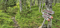 The marked trail to Demmena