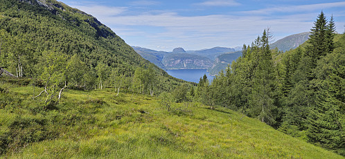 Skamdalshorgi from the descent to Utne