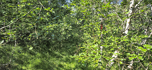The marked trail to Utne