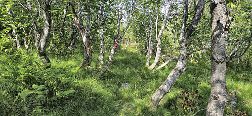 The marked trail to Utne