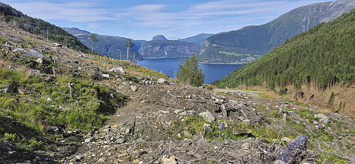 Crossing a logging area to get to the gravel road