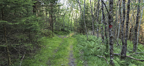 Back on the marked shortcut to Utne