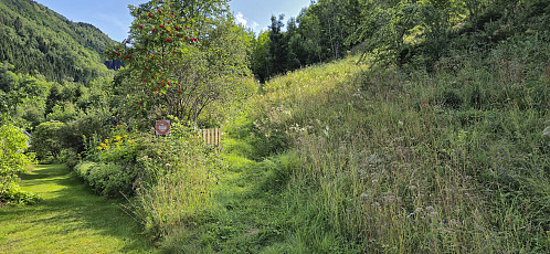 Looking back at the end of the marked trail