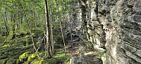 Trail to Jonahornet