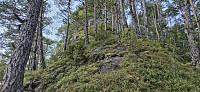 Getting closer to the summit