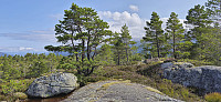 Tofjellet