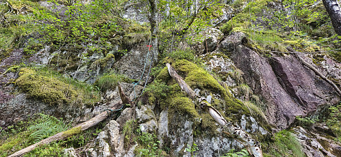Looking back at another one of the steep sections of the descent from Gulbergnotten