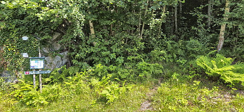 Looking back at Gulbergnotten trailhead