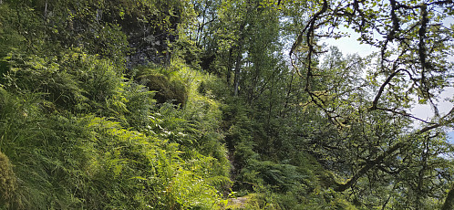 The marked trail to Vikanuten