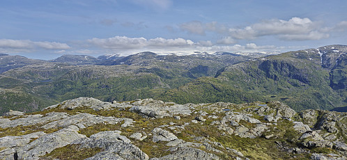 Folgefonna from Vikanuten