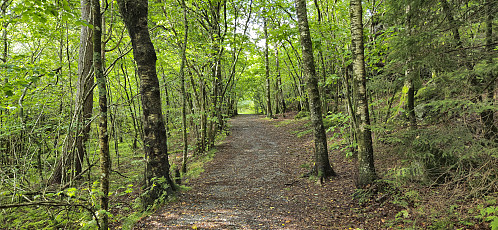 Entering Åstveitskogen