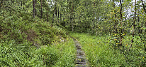 Trail in Åstveitskogen