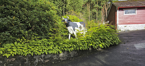 Unusual garden ornament in Vågslien :)