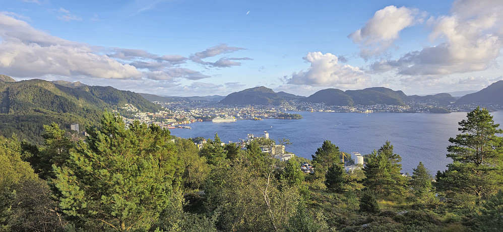 The Bergen city center from Ørneberget