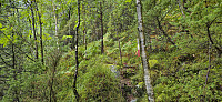 The marked trail to Bergsviksetra