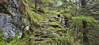 Old stone steps along the trail