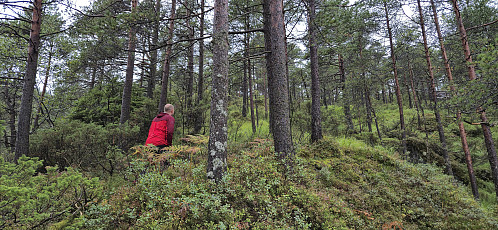 Off-trail towards the summit
