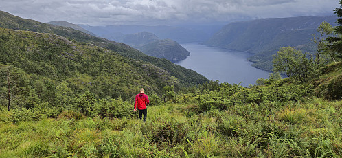 On the way to reconnect with the marked trail