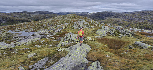 Heading north along Skjerjevassryggen