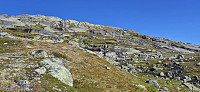 Ascending Austre Låghellerhøgdane