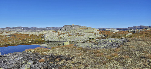 Most likely the highest point at Austre Låghellerhøgdane
