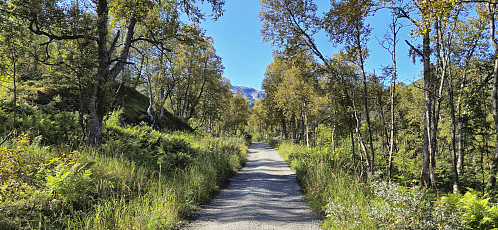 On the way to Vatnahalsen Hotell