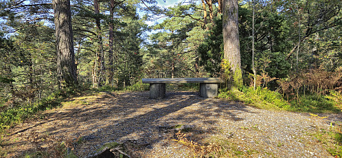 Grønhaugen