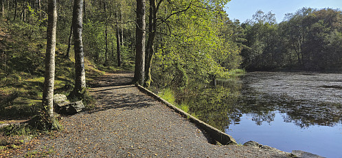 Gravel path along an unnamed pond south of Indre Steinsvik