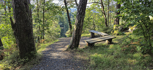 Bench west of the highest point at Ospåsen